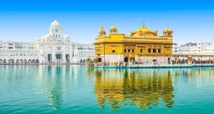 17 09 2024 Golden Temple 9405558