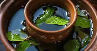 586277 Tulsi Water