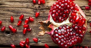 590770 Pomegranate