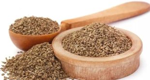 Ajwain Health Benefits 768x432.j (1)