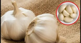 Chinese Garlic Controversy One 7