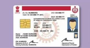 Driving Licence Rules 696x391.jpg