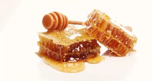 Foods That Dont Go With Honey.jp