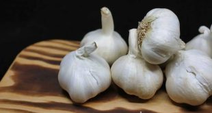 Garlic Health Benefits Uses Side