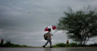 Gujarat Monsoon Rains 2024 768x4