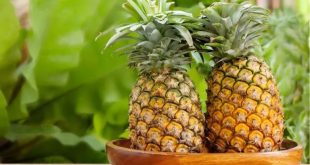 Health Tips Benefits Of Pineappl (1)