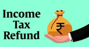 Income Tax Refund Taxpayer 696x426.jpg