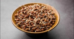 Kala Chana Health Benefits 768x4