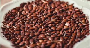 Roasted Flax Seeds Benefits 768x