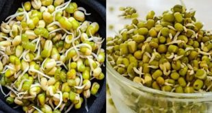 Sprouted Moong One 768x432.jpg