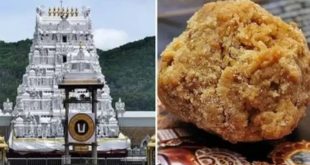 Tirupati Laddu 768x432.jpg