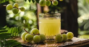 Amla Juice.jpg