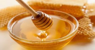 Benefits Of Honey 1726372386