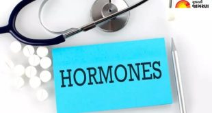 Hormones.jpg (1)