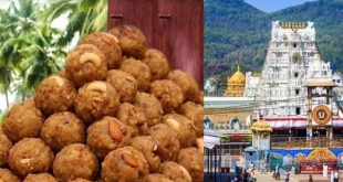 Tirupati Laddu 1 1726805980