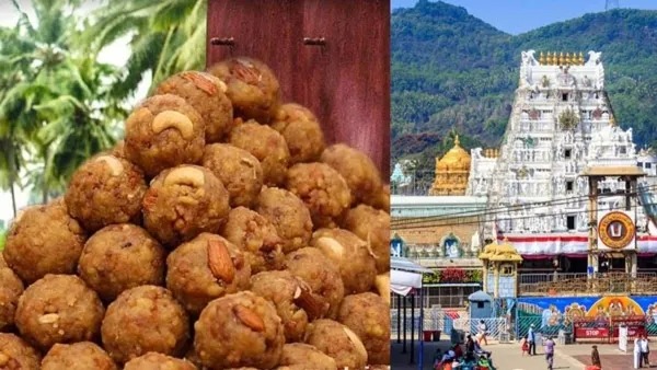 Tirupati Laddu 1 1726805980