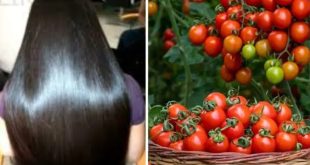 Tomatto For Hair 768x432.jpg