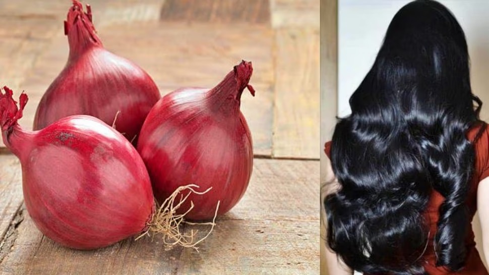 Onion Peel to Darken White Hair, onion juice stop hair fall, hair fall control tips, onion juice on hair, Onion peel can stop hair fall overnight, How to make onion juice for hair, Onion juice for hair how many days, How long does it take for onion juice to regrow hair, Onion Peel, Onion Peel Turns white hair to black, coconut oil for white hair, Onion Peel, White Hair, Home Remedies for White Hair, Onion Peel for white hair, Onion Peel powder and coconut oil for white hair, Onion Peel water turns white hair to black