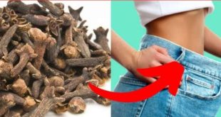 454611 Cloves For Weight Loss