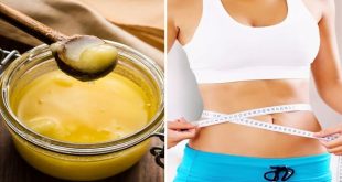 454658 Ghee For Weight Loss 1