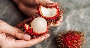 455692 Rambutan 1