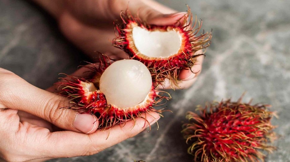 455692 Rambutan 1