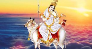 598162 Shailputri31024