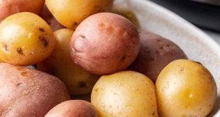 603334 Potato