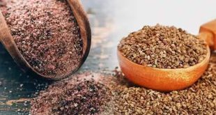 604736 Ajwain