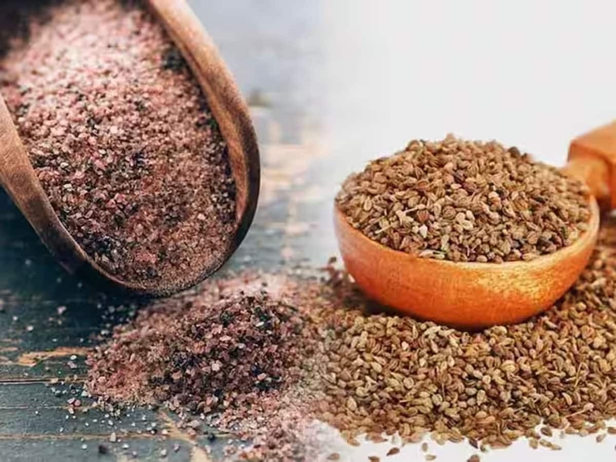 604736 Ajwain