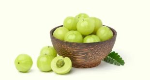 Amla For Hair 768x432.jpg