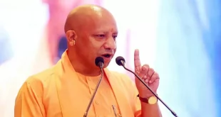 Cm Yogi 1024x597.jpg