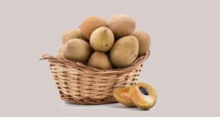 Chikoo Benefits In Gujarati 768x