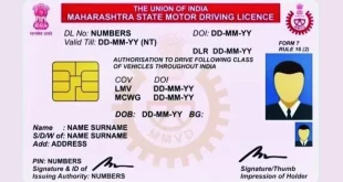 Driving License 696x365.jpg