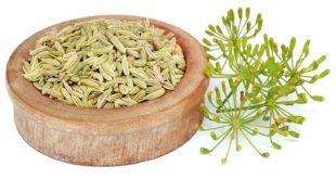 Health Benefits Of Fennel Seeds