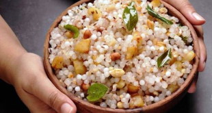 Navratri Vrat Recipe Sabudana Kh