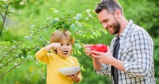 Parenting Tips Good Habits For C (1)