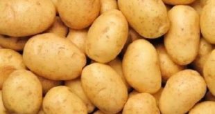 Potato Storage Tips 768x432.jpg