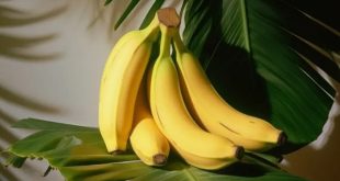 Banana Daily Eat 2 768x432.jpg (1)