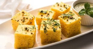 Dhokla During Pregnancy 768x432