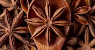 Star Anise 6 768x432.jpg