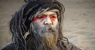 463024 Aghori