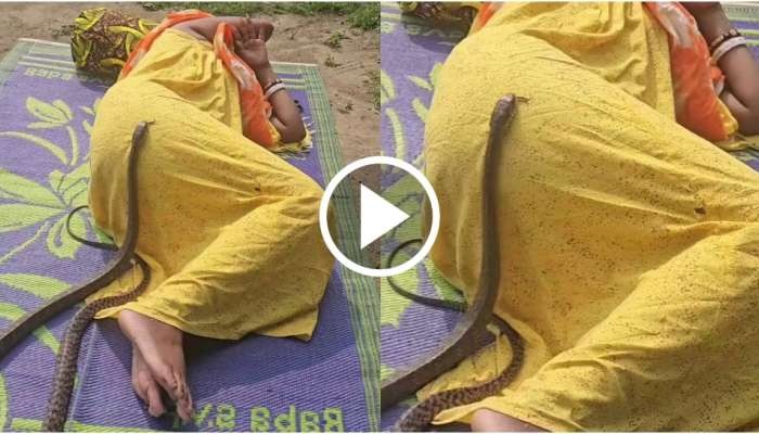 463384 Snake Viral Video (1)