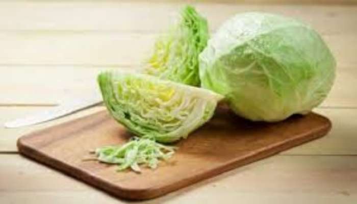 468013 Cabbage