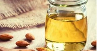 607088 Almond Oil