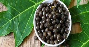 609215 Papaya Seeds (1)