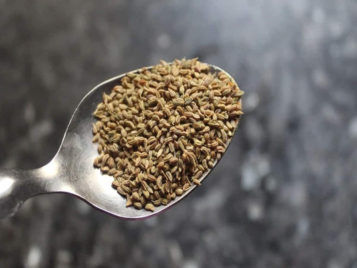 610363 Ajwain