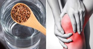 613893 Joint Pain Remedies