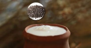 Chia Seeds Benefits 768x432.jpg (1)