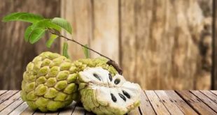 Custard Apple Benefits 768x432.j